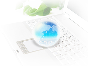 wise companyについて